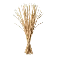 خس خس (وتیور)