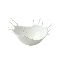 شیر