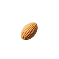 بادام