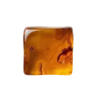 چوب عنبری