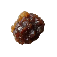 نت حیوانی (آنی مالیس)