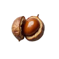 شاه بلوط
